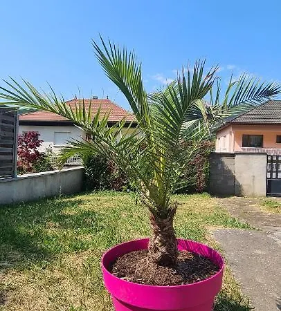 Maison Piscine Holiday home Saint-Amarin